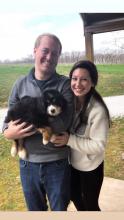 Mini Bernedoodle